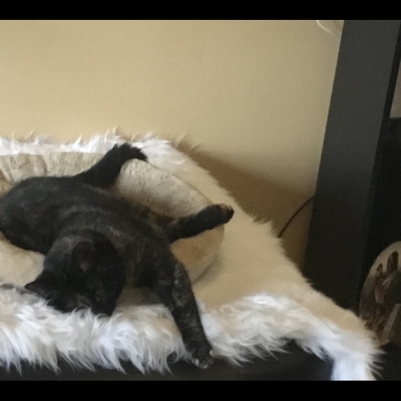 Meet your Posher, Dana - Picture 9 of 11